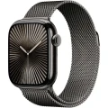 Apple Watch Series 10 Slate Milanese Loop